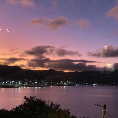 Incredible Views! Luxurious Studio & Outdoor Living Wellington Eksteriør billede