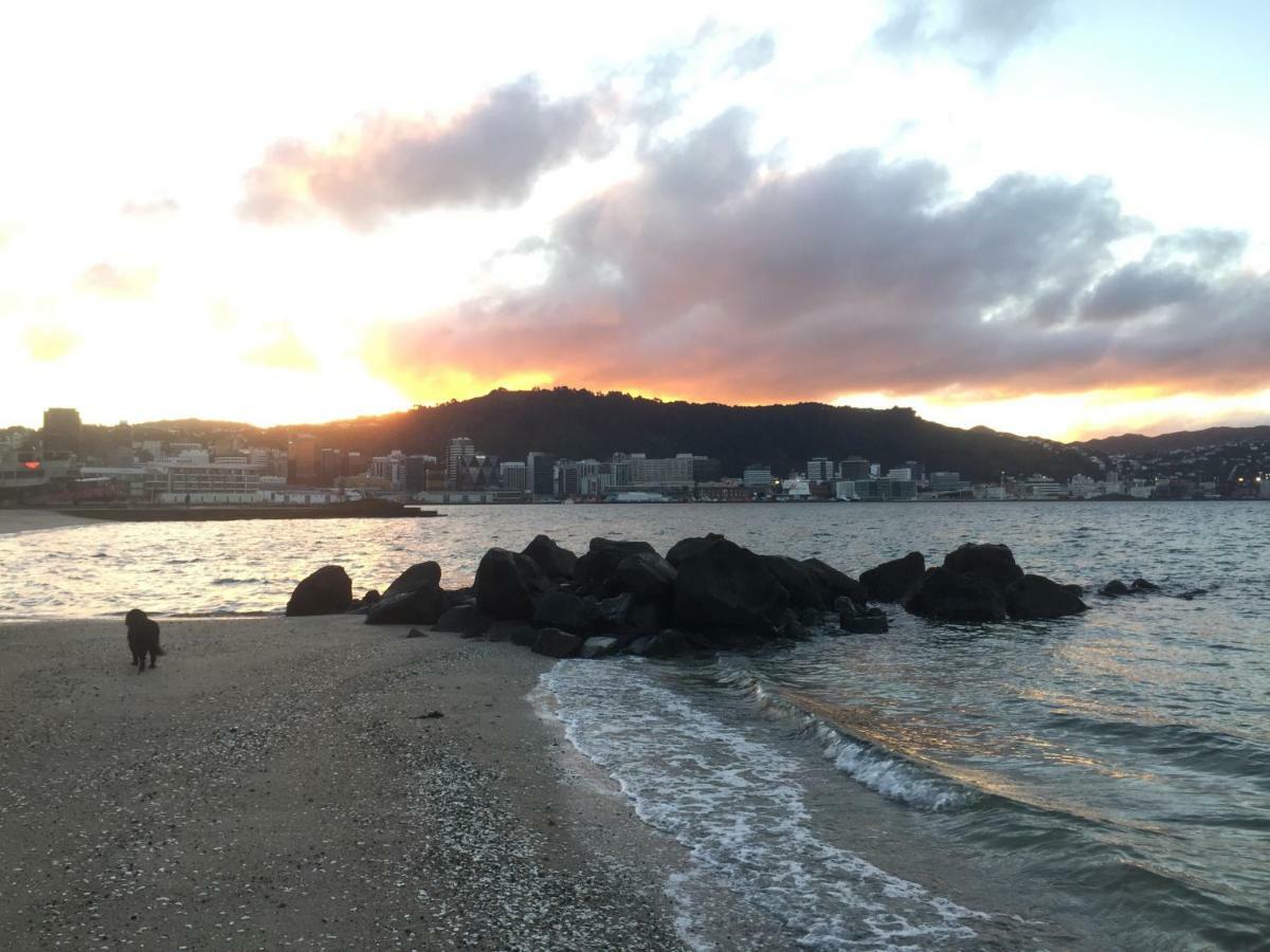 Incredible Views! Luxurious Studio & Outdoor Living Wellington Eksteriør billede