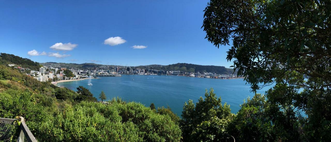 Incredible Views! Luxurious Studio & Outdoor Living Wellington Eksteriør billede